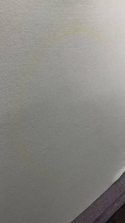 Crush Airbrush Heart & Butterfly Shirt